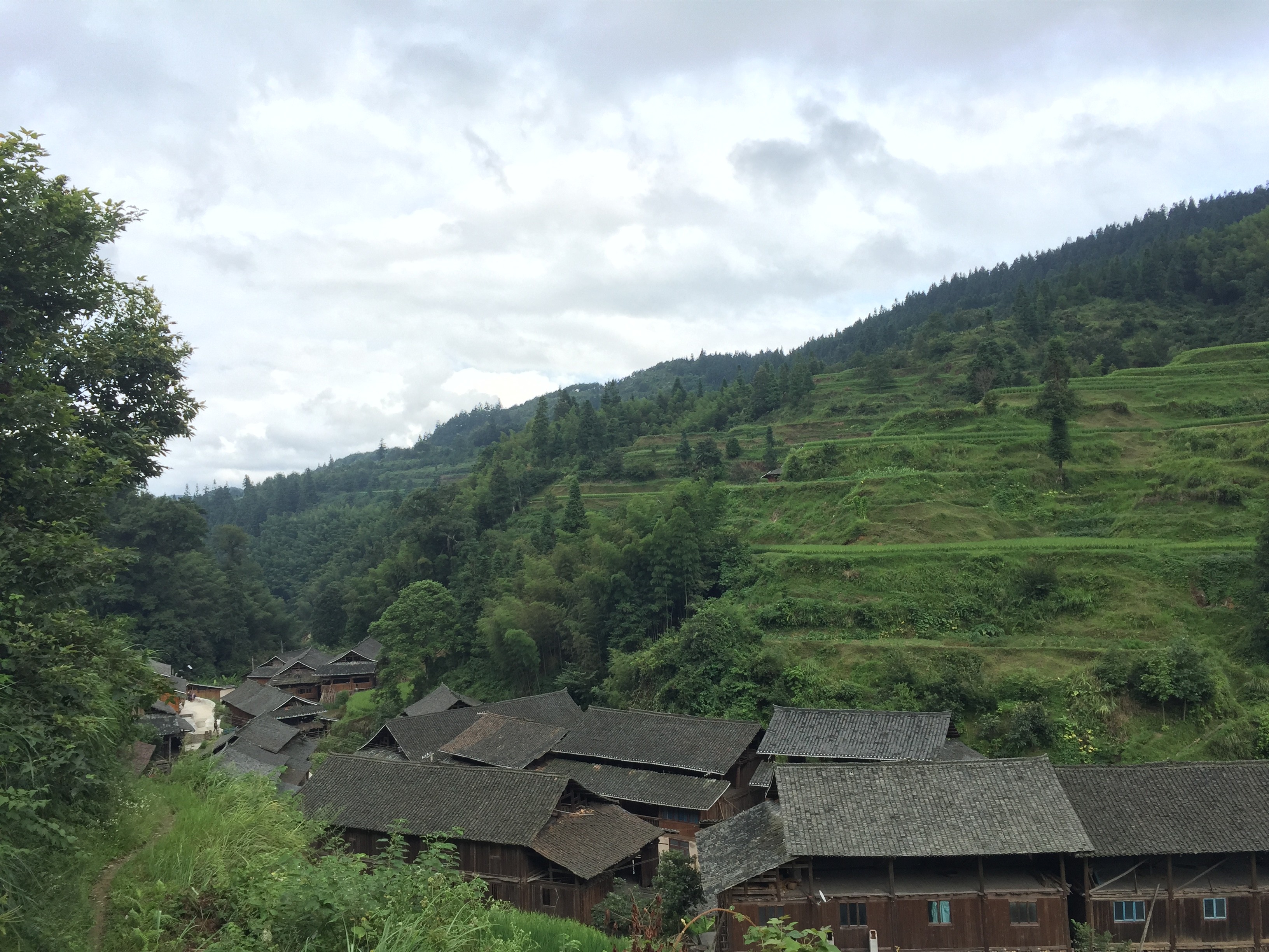 1564101007616772.jpg cd601db323abb97a3e323da554341c3.jpg